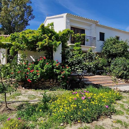 Cortijo Nerja Artist Paradise Exterior photo