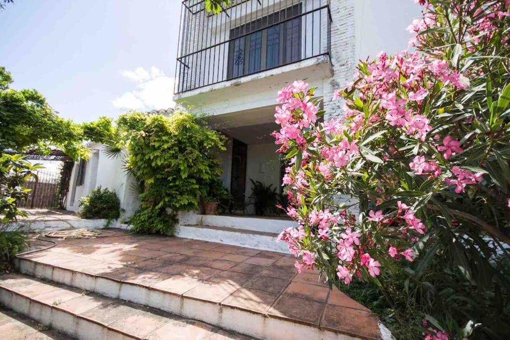 Cortijo Nerja Artist Paradise Exterior photo