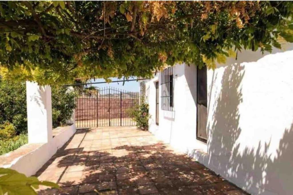 Cortijo Nerja Artist Paradise Exterior photo