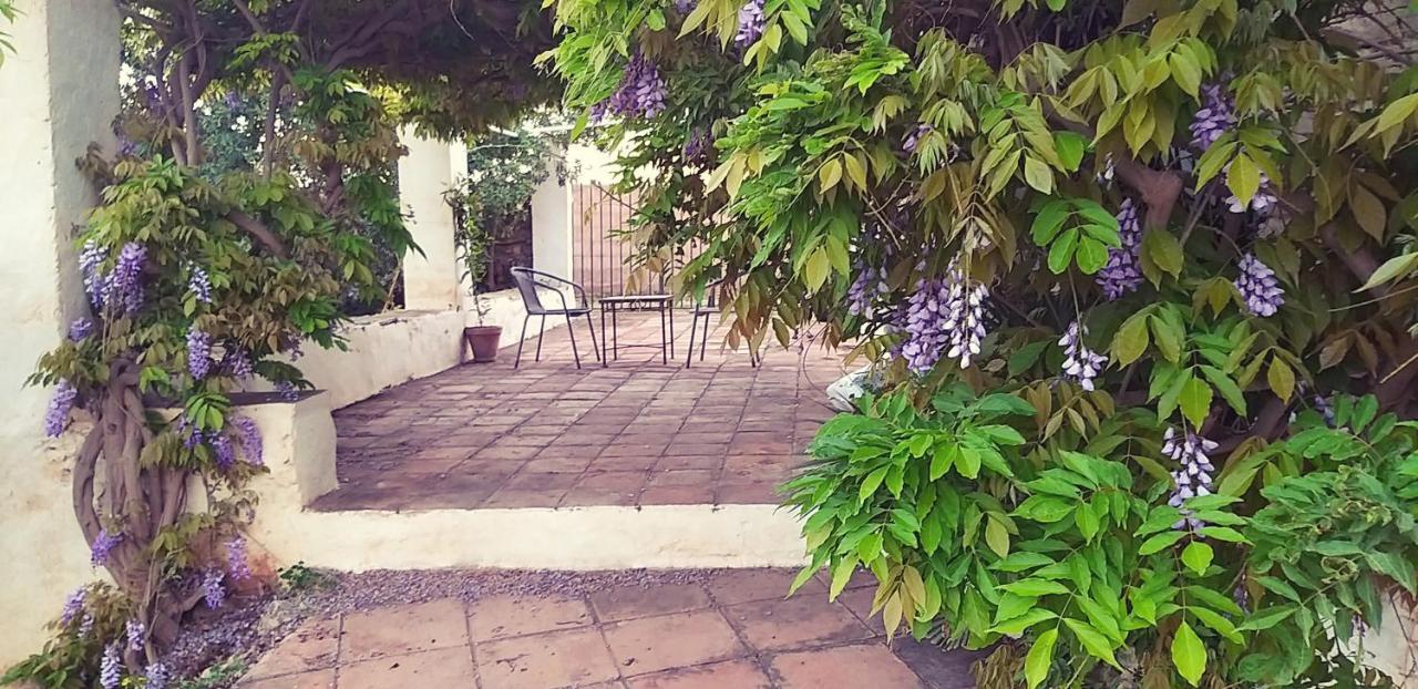 Cortijo Nerja Artist Paradise Exterior photo