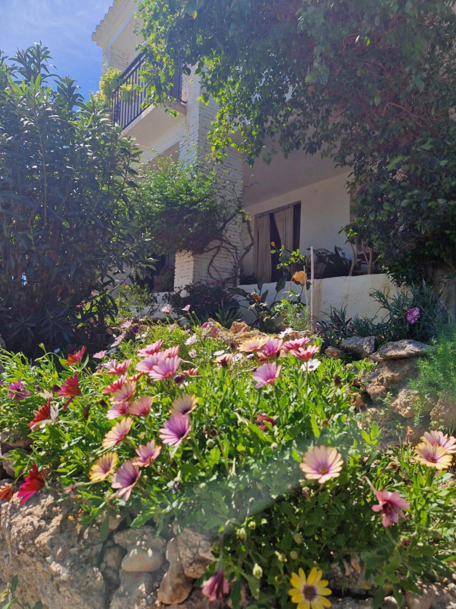 Cortijo Nerja Artist Paradise Exterior photo